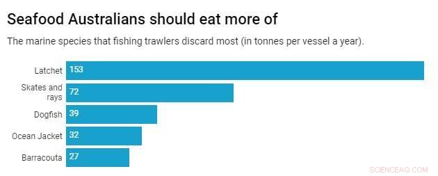 Maximizing Every Catch: Sustainable Seafood Practices