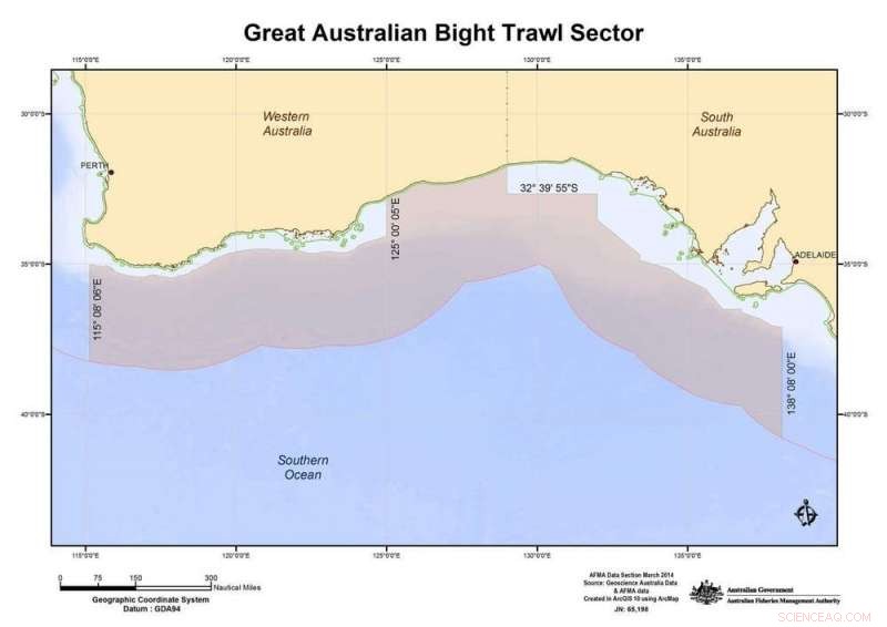 Maximizing Every Catch: Sustainable Seafood Practices