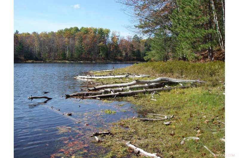 Lake Water Levels Predict Mercury Levels in Fish, Study Finds