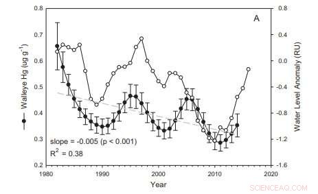 Lake Water Levels Predict Mercury Levels in Fish, Study Finds