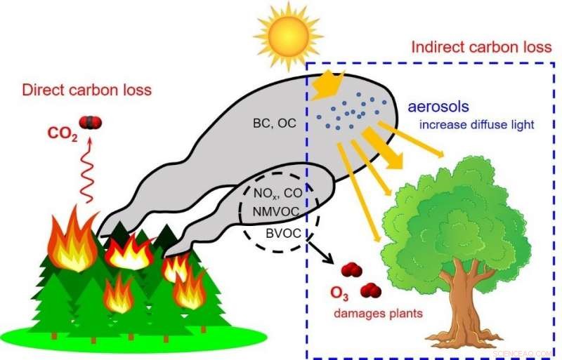 Wildfire Emissions Severely Impact Crop and Vegetation Growth Far Beyond Burning Areas