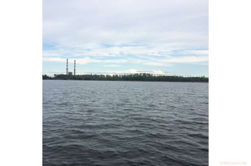 Fish Ear Bones Offer Breakthrough Method to Trace Coal Ash Pollution