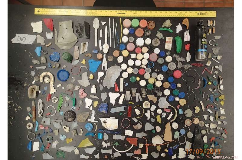 Comprehensive Marine Debris Survey Tracks Trash from Texas to Florida