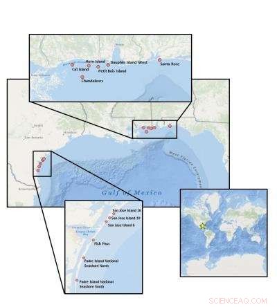 Comprehensive Marine Debris Survey Tracks Trash from Texas to Florida