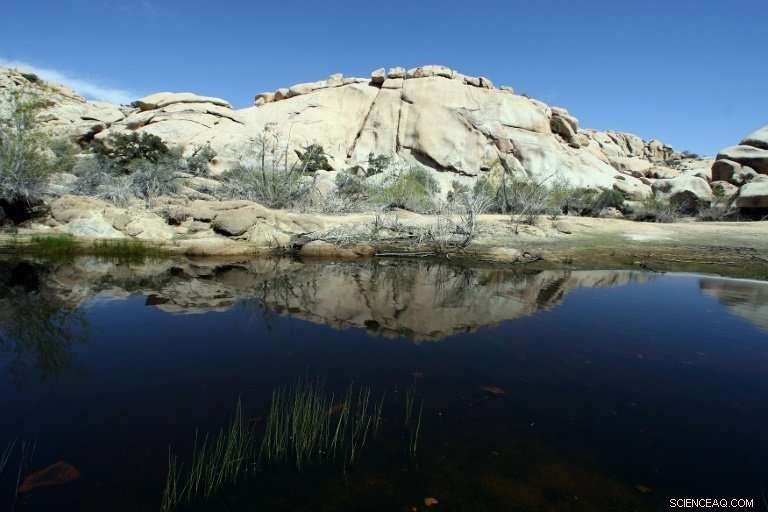 Volunteers Work to Prevent Chaos as U.S. Parks Face Shutdown