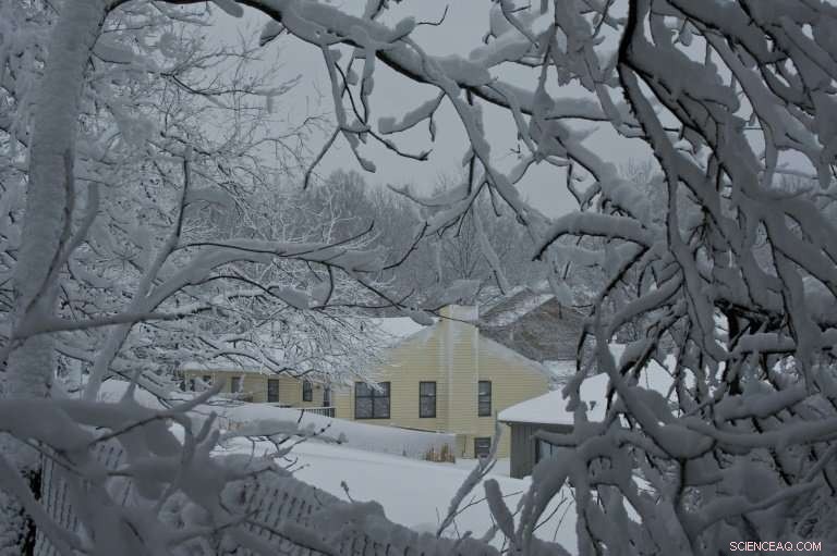 Seven Lives Lost in U.S. Winter Storms, Media Reports