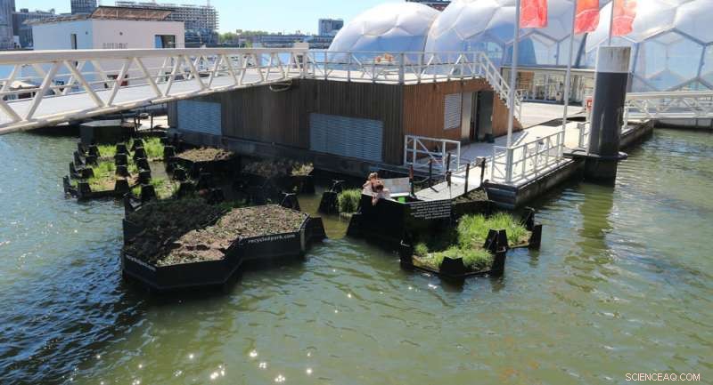 Recycled Floating Parks: Harnessing Plastic Waste to Unite Communities and Combat Ocean Pollution