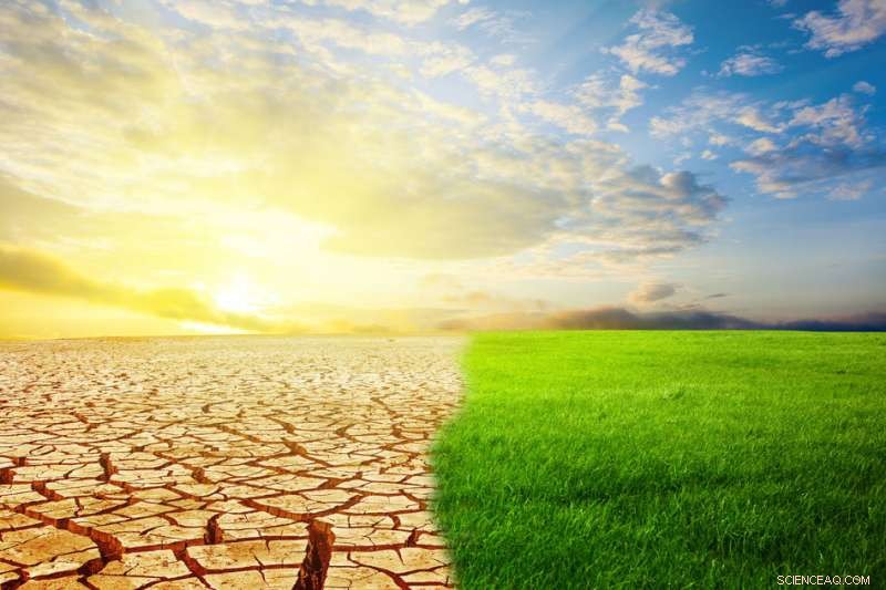 New Research Reveals Sahara Alternates Between Green and Arid States Every 20,000 Years, Tied to Monsoon Cycles