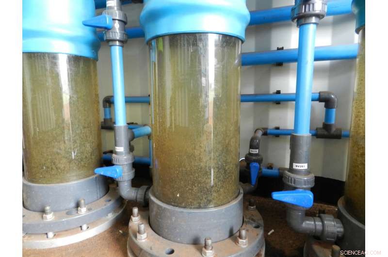 Bringing Safe Drinking Water to Southern Africa