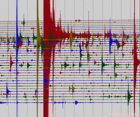 Building a Virtual Seismologist: Advanced AI for Earthquake Analysis