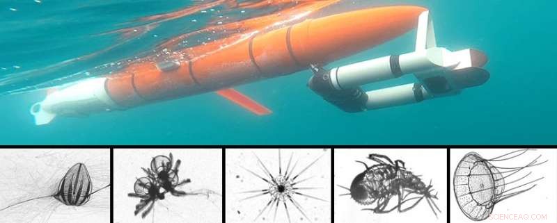 Cutting‑Edge Robot Detects Plankton with Optical and Acoustic Sensors
