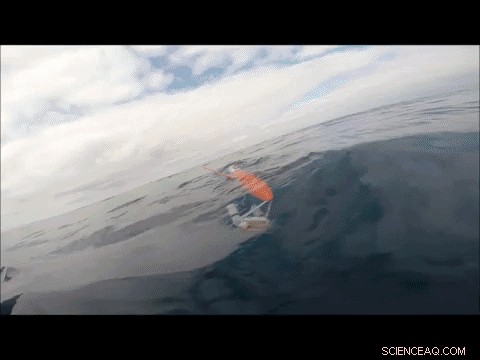 Cutting‑Edge Robot Detects Plankton with Optical and Acoustic Sensors