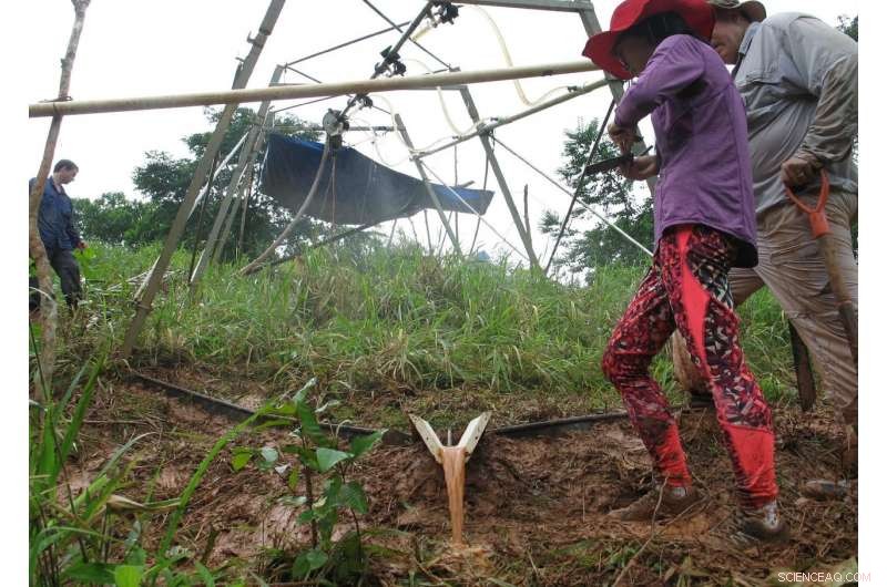 Study Examines Strategies to Enhance Panama Canal Reliability and Socio-Economic Impact