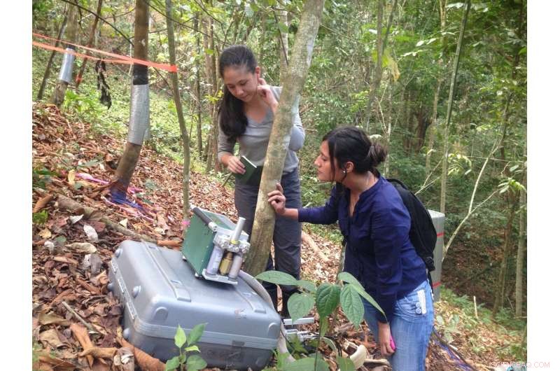 Study Examines Strategies to Enhance Panama Canal Reliability and Socio-Economic Impact