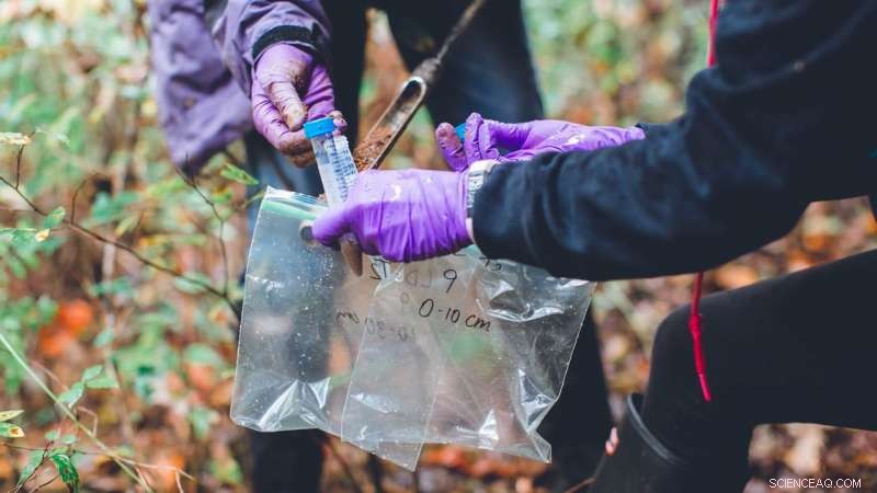 Scientists Monitor Hurricane Impact on River Pollution and Beneficial Bacteria