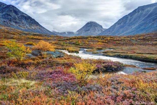 Is It Time to Bid Farewell to the Arctic’s Unique Ecosystem?