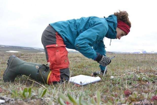 Is It Time to Bid Farewell to the Arctic’s Unique Ecosystem?