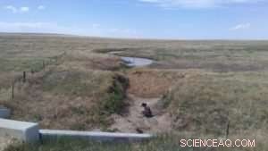 Scientists Trace Salt Sources That Threaten Crop Yields