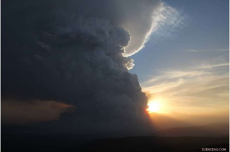 Predicting Firestorms: How Accurate Models Save Lives