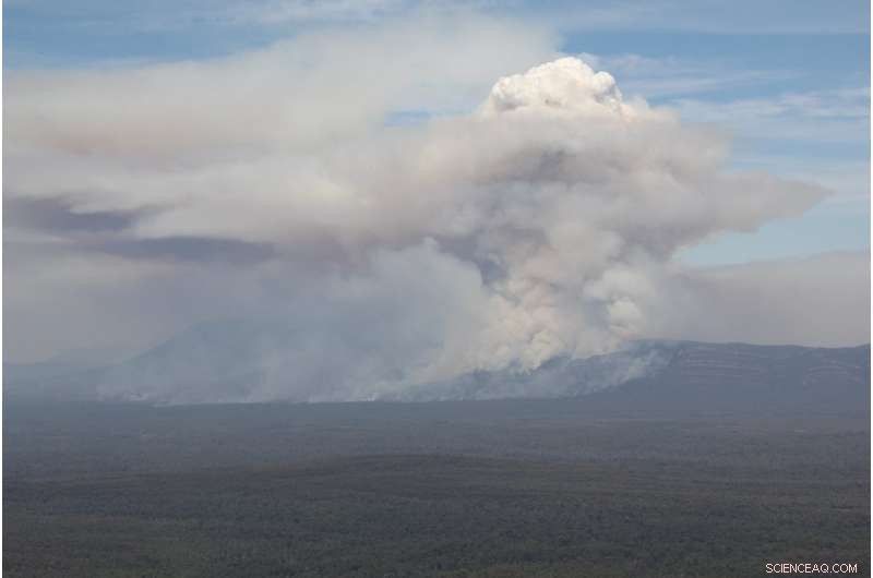 Predicting Firestorms: How Accurate Models Save Lives