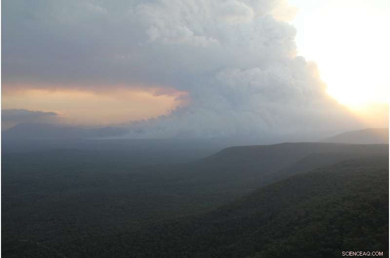 Predicting Firestorms: How Accurate Models Save Lives