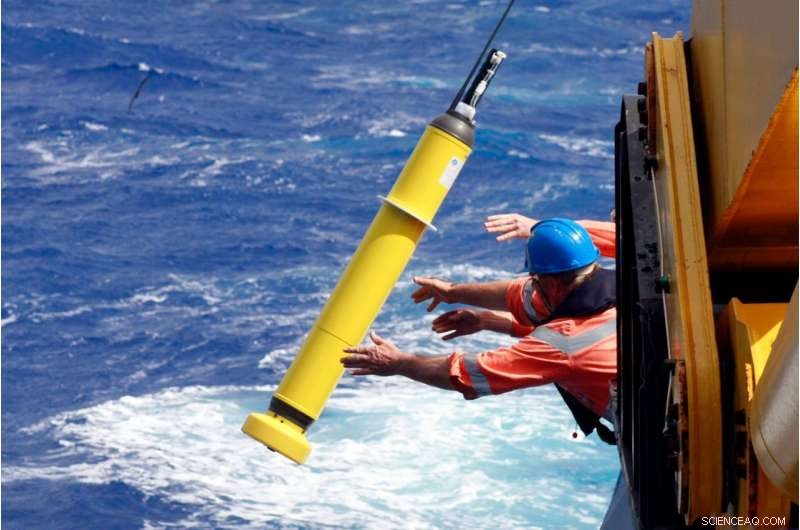 New Study Reveals Algae Flourish Beneath Greenland Sea Ice