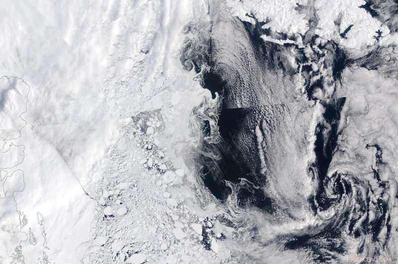 New Study Reveals Algae Flourish Beneath Greenland Sea Ice