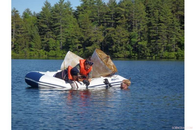 Geoscientists Uncover 900‑Year Climate Record in Northeast, Revealing Past Weather Trends