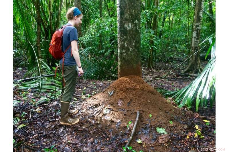Leafcutter Ants Emit Nitrous Oxide at Levels Matching Wastewater Treatment