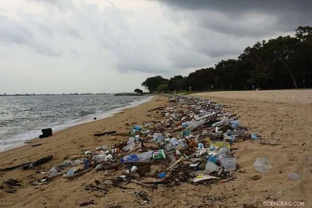 Ocean Plastic: Tiny Garbage Patch vs. Massive Carbon Footprint