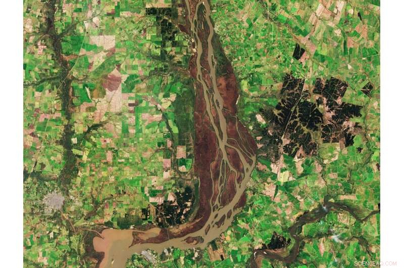 Uruguay River Wetlands: Satellite View of the Brown, Sediment‑Rich Lower Reaches