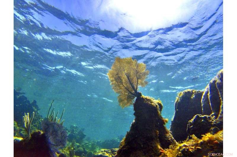 New Study Reveals Oceans Are Warming Faster Than Anticipated