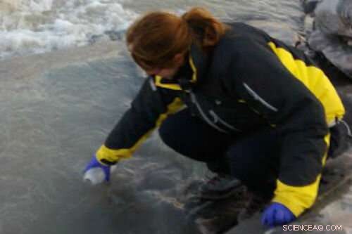 How Subglacial Weathering Shapes Nutrient Cycles in Greenland s Glaciers