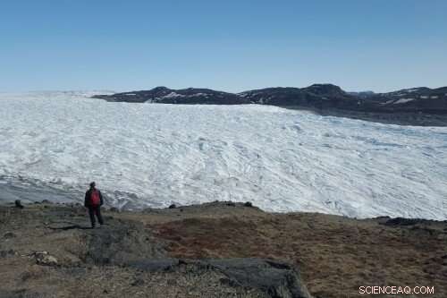How Subglacial Weathering Shapes Nutrient Cycles in Greenland s Glaciers