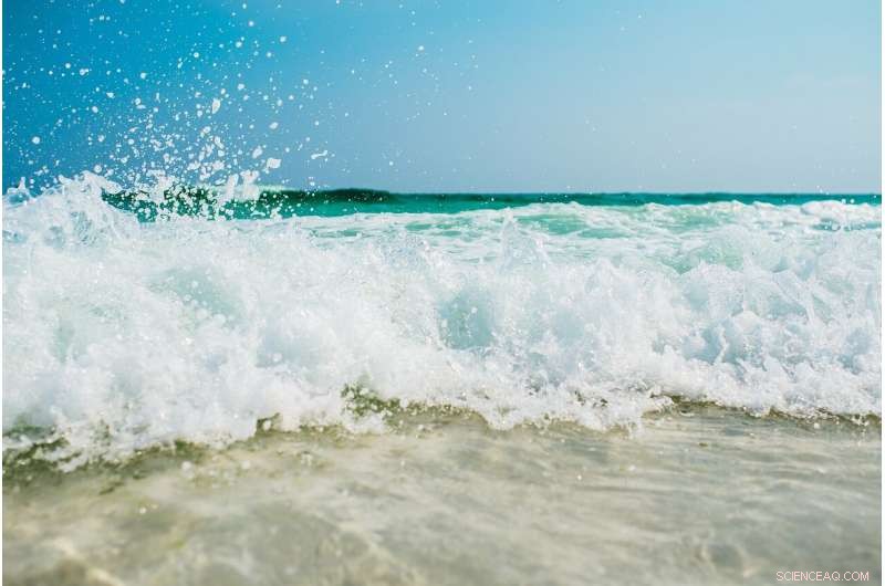 Miami‑Dade Faces $3 B Crisis as Rising Seas Render Septic Tanks Ineffective