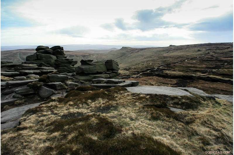 New Study Shows Hill Restoration Cuts Flood Risk in the Peak District