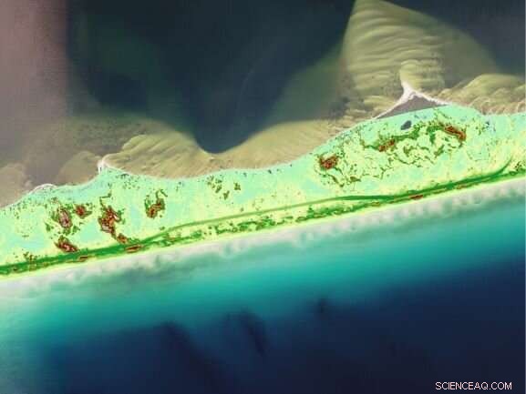 Study Finds Barrier Island Dunes Recover at Varying Rates After Hurricanes