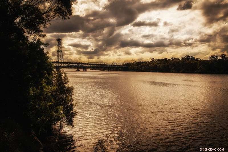 Why Are Waterways Losing Oxygen? Understanding the Causes and Consequences