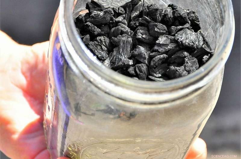 How Federal and State Action Can Unlock Biochar’s Full Soil‑Saving Power