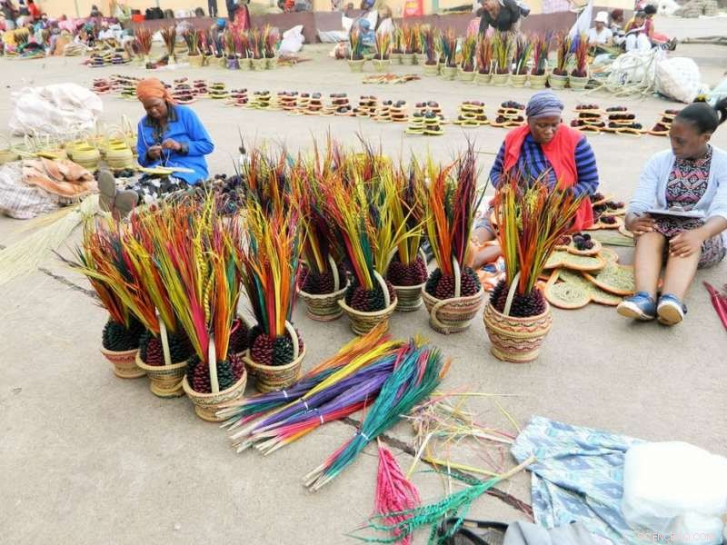 Harvesting Natural Resources: A Proven Path to Poverty Reduction in Rural Communities