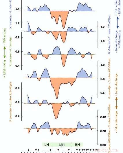 Unraveling Summer vs Winter Rainfall Patterns in South Asia during the 4.2 ka Climatic Event