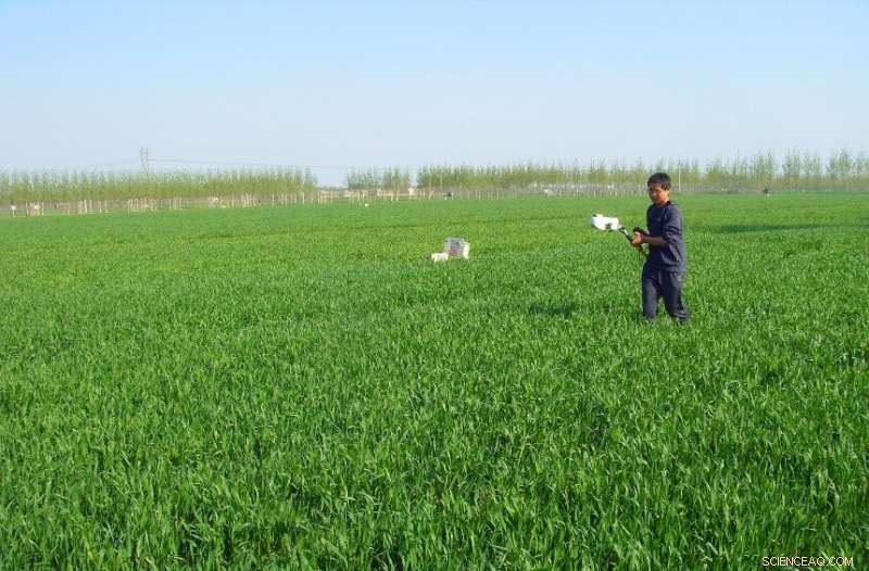 Optimizing Nitrogen Use: Benefits for Crops, the Environment, and Your Bottom Line