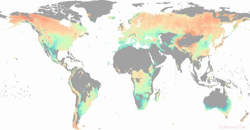 Water Scarcity, Not Temperature, Restricts Global Forest Growth in a Warming Climate