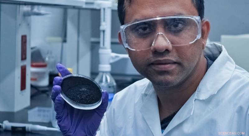 Tailor-Made Biochar: Customizable Charcoal for Water, Soil, and More