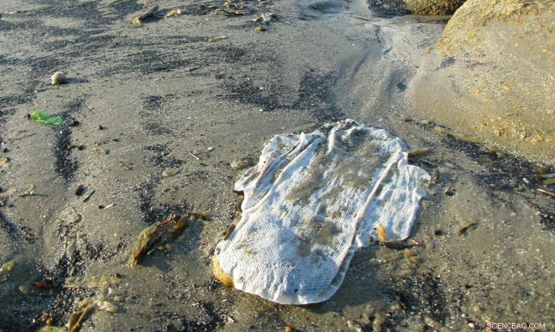 Lack of Awareness Hinders Plastic-Free Menstrual Product Adoption