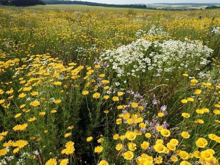 Balancing Farming and Conservation: Why Conflicts Hurt Everyone