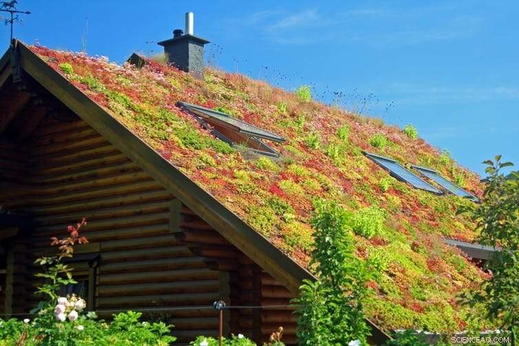 Climate Change Heightens Risks in Construction, Fishing, and Other Hazardous Sectors