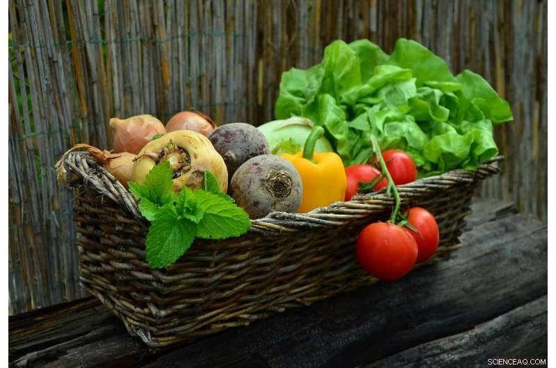 Planetary Health Diet Adoption Could Reshape UK Land Use & Global Water Resources