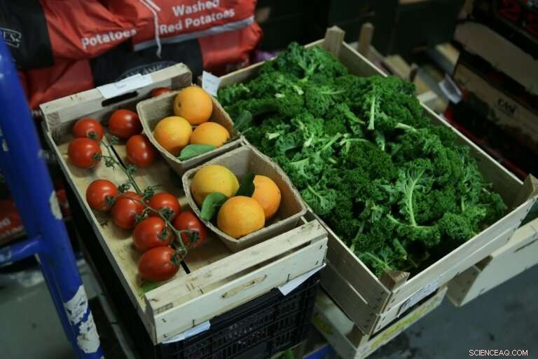 New Study Shows Human Diet Causes Catastrophic Planetary Damage