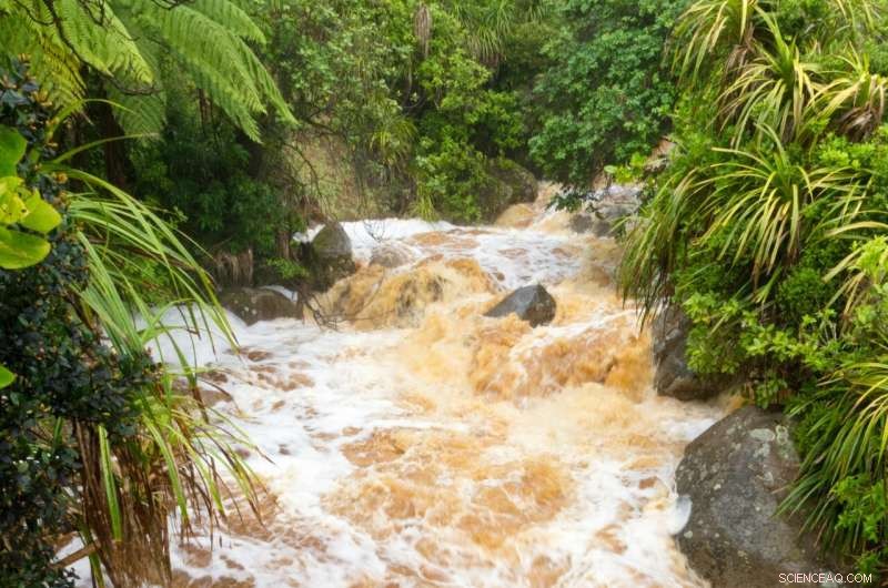 Green Walls: A Proven Solution to Mitigate Urban Flash Flooding